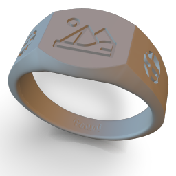 Signature Cushion - dev_DAkAWyX7DFAq